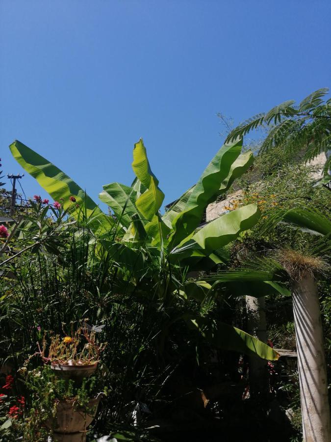 Magnoliia Hotel ซุคุม ภายนอก รูปภาพ