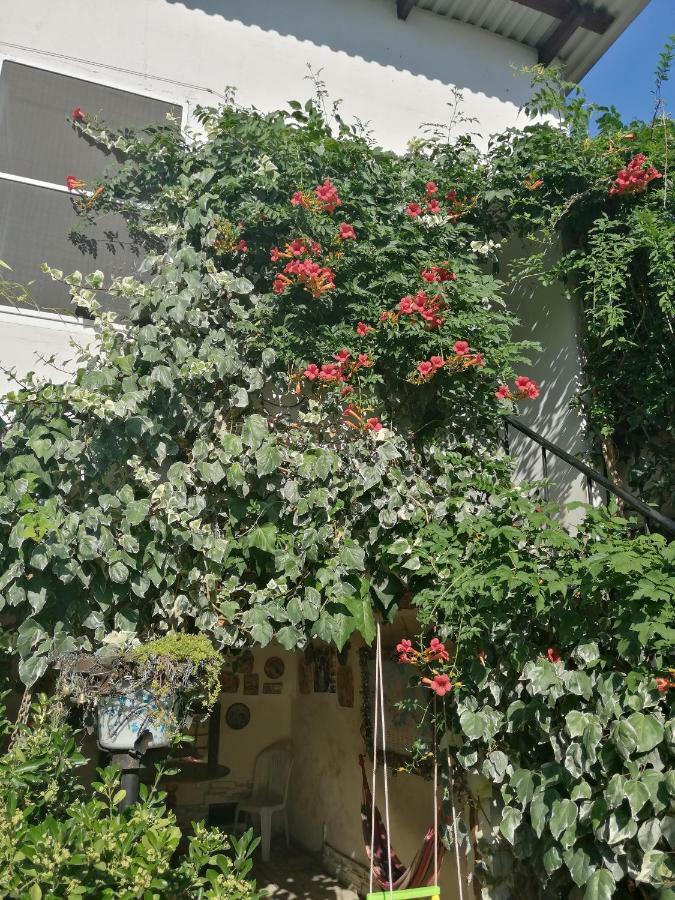 Magnoliia Hotel ซุคุม ภายนอก รูปภาพ